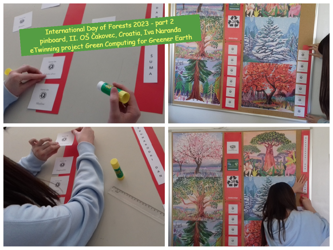 International Day of Forests